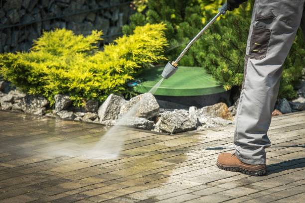 Best Animal Enclosure Cleaning  in Sweetser, IN