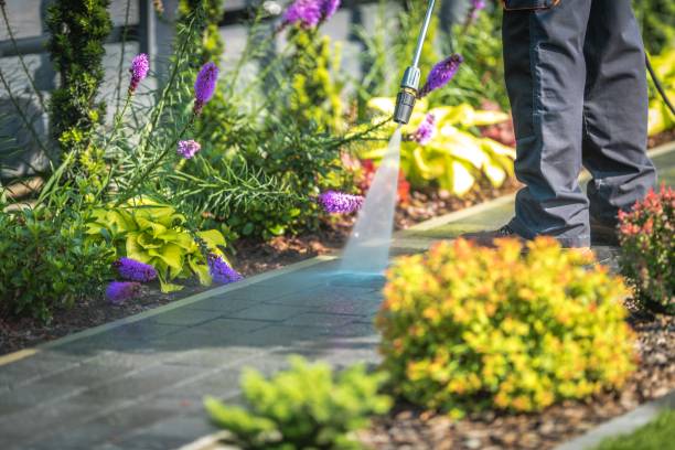 Best Dumpster Area Cleaning  in Sweetser, IN