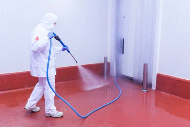 Best Solar Panel Cleaning  in Sweetser, IN
